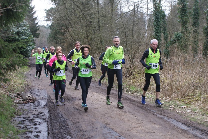 Bosloop Brecht - 26